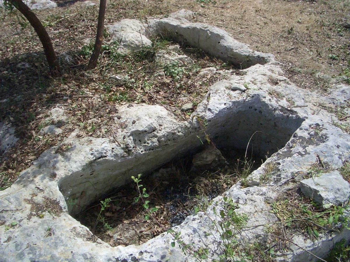Willa Mundus Terrae Casa della Contessa Zewnętrze zdjęcie