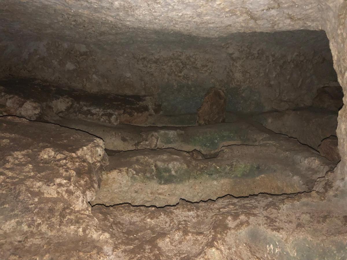 Willa Mundus Terrae Casa della Contessa Zewnętrze zdjęcie